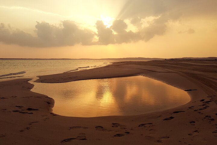 Doha: Sunrise /Sunset Desert Safari with Sand Boarding,Camel ride photo 2