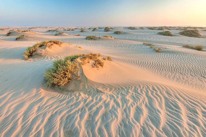 Doha: Combo City Tour And Desert Safari photo 19