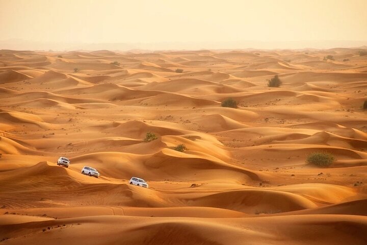 Doha: Sunrise /Sunset Desert Safari with Sand Boarding,Camel ride photo 9