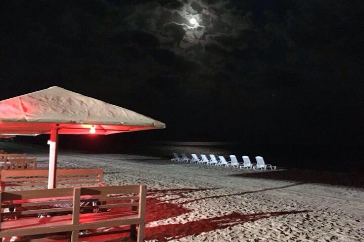 Doha : Full Day Desert Safari | BBQ Dinner | Inland sea photo 13