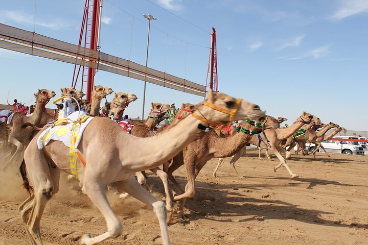 Explore North and West Qatar – Full-Day Adventure photo 11