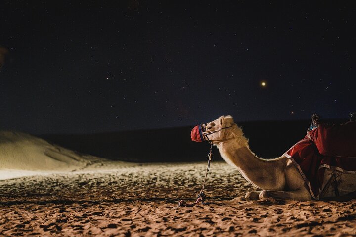 Full Day Qatar North and Desert Safari with pickup  photo 7