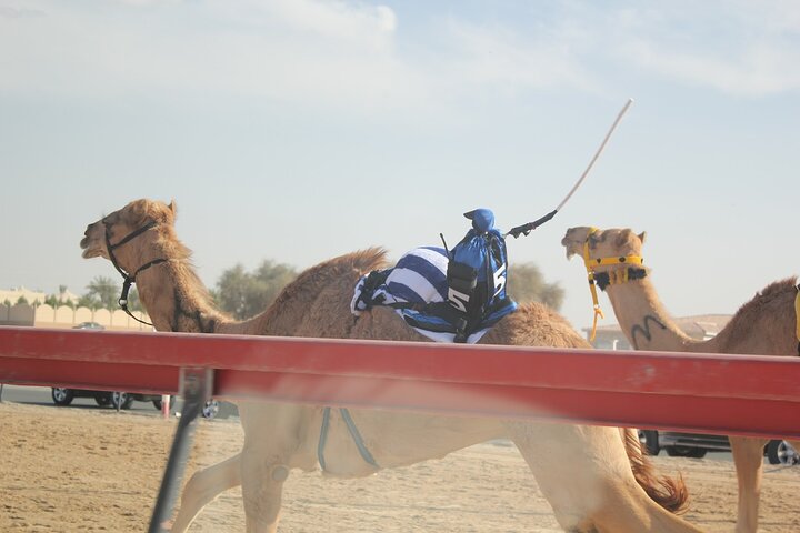 Explore North and West Qatar – Full-Day Adventure photo 10