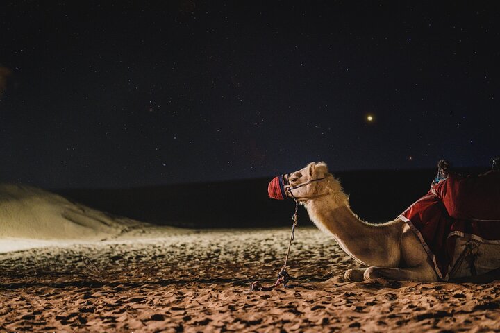 Doha : Night Desert Safari | Transit Safari | Camel ride | Dune Bashing  photo 4