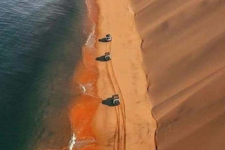 Doha Quad Bike, Dune Bashing, Camel Ride and Inland Sea Tour photo 10