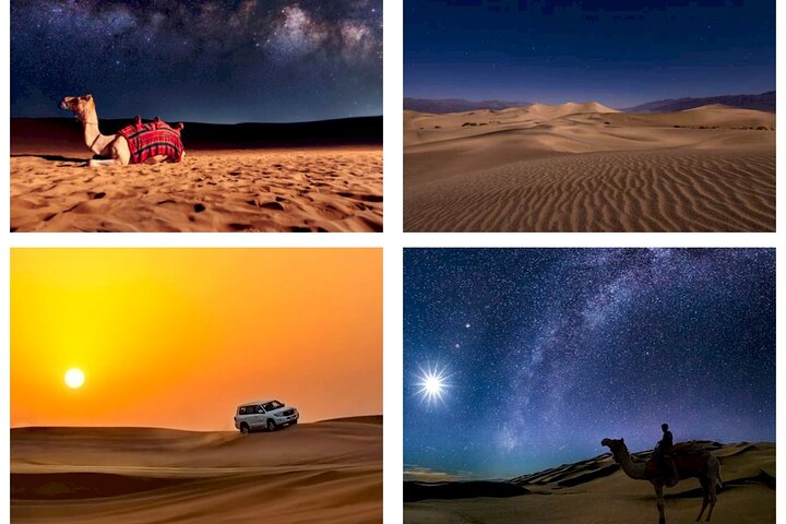 Doha : Night Desert Safari | Transit Safari | Camel ride | Dune Bashing